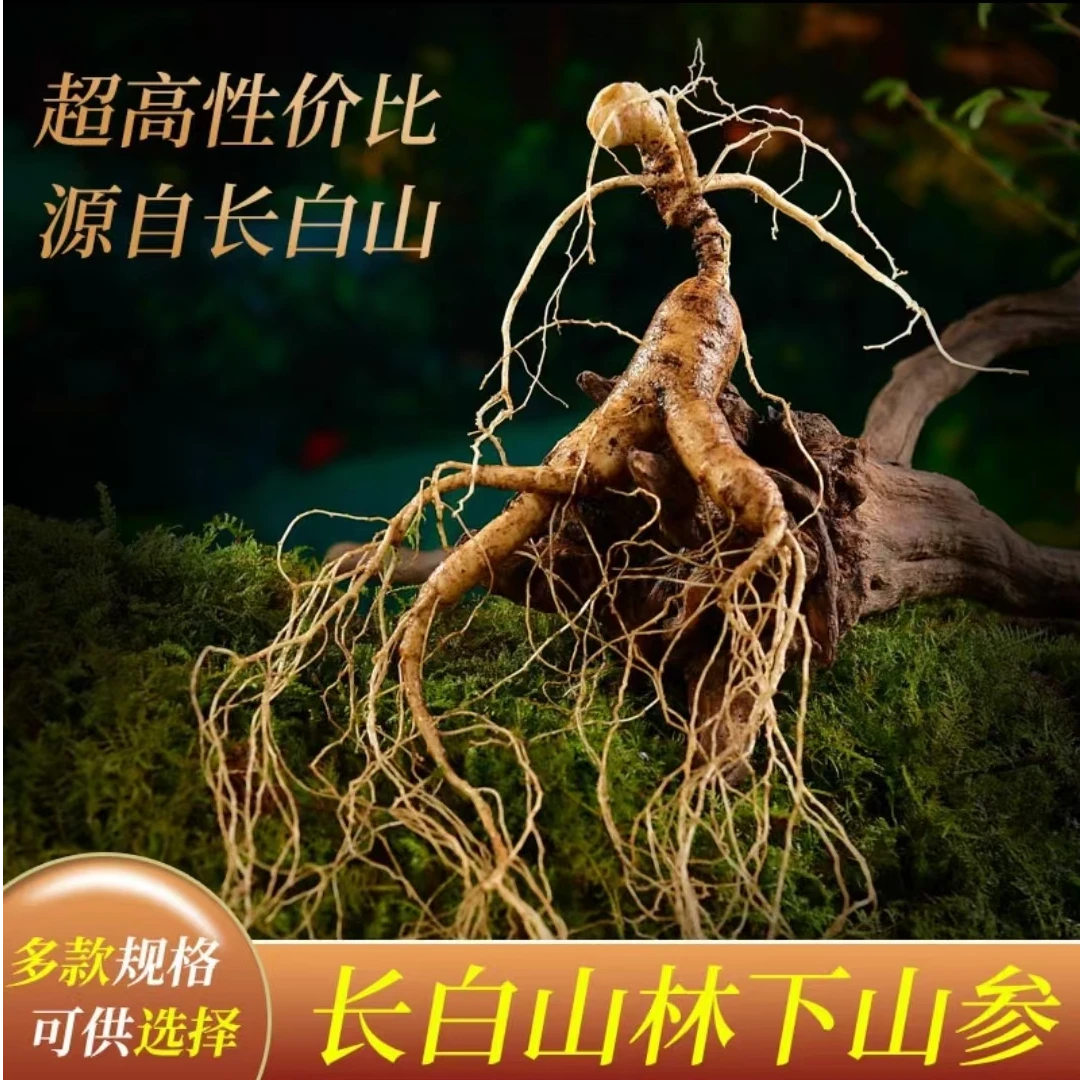 长白山林下参 各种规格各 种年份品相 现场挑现场选  拍下改价！！！