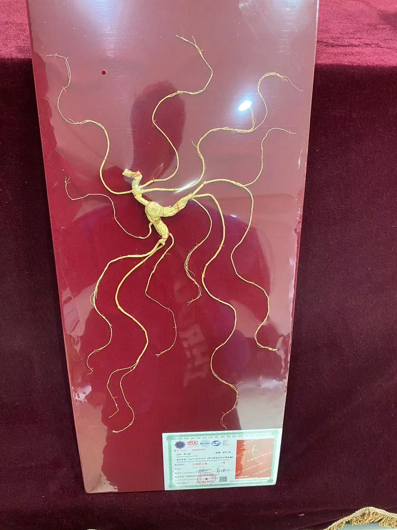 【达达】长白山人参带证二等一枝