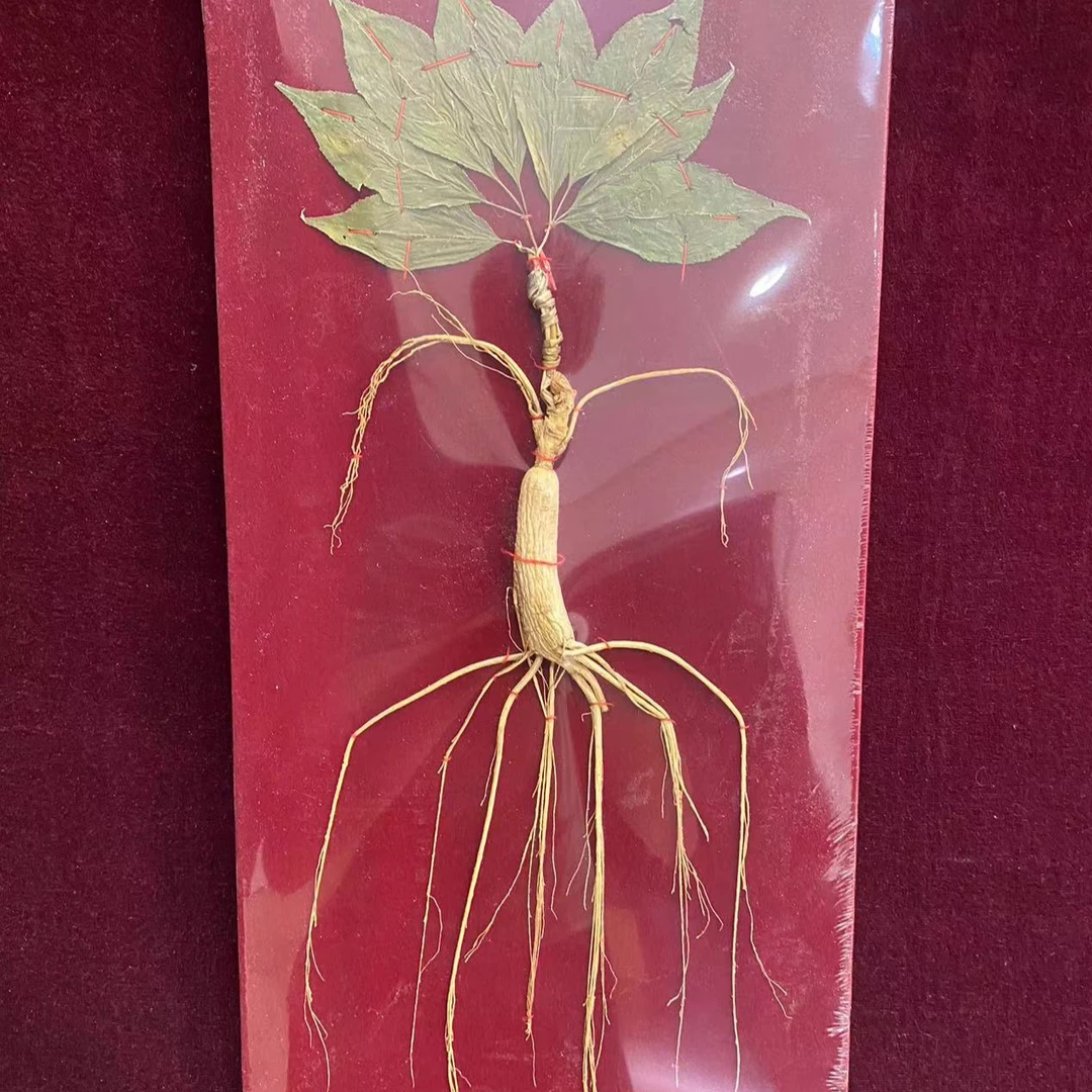 【达达】长白山人参改价链接