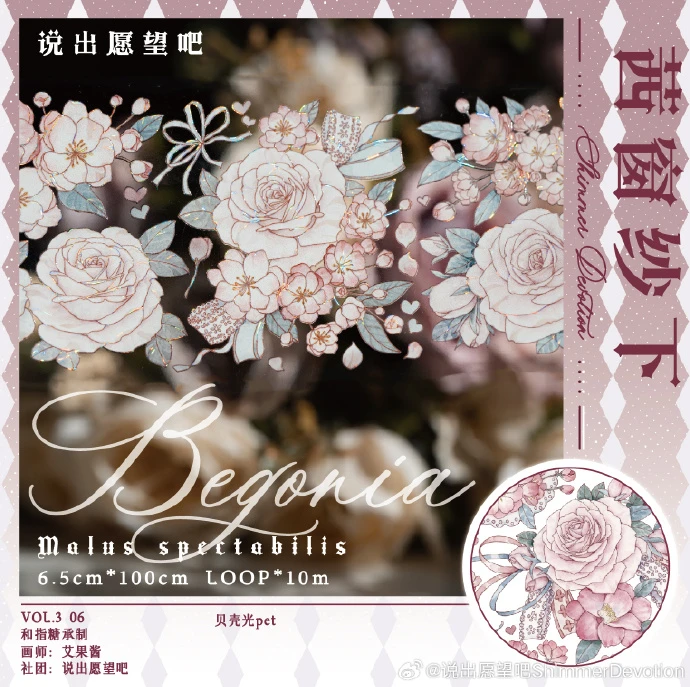 说出愿望吧 茜窗纱下贝壳光分装 特材手帐胶带拼贴咕卡背卡