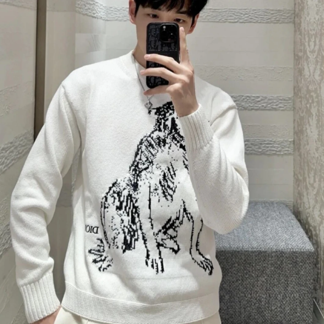 全新未使用 DIOR/迪奥 男士时尚百搭经典联名款针织衫圆领 100719