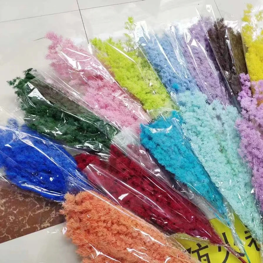 蓬莱松，2把包邮，不掉针，厂家批发永生花