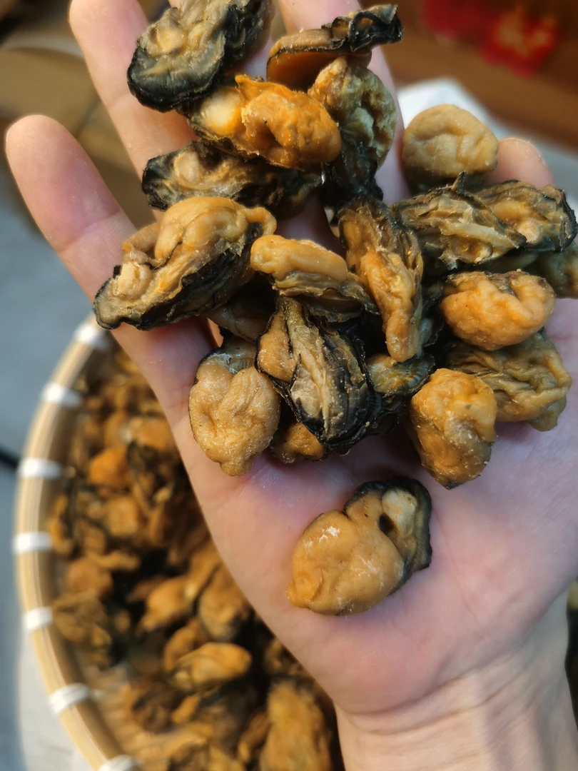 湛江生蚝 生蚝干 煲粥煲汤焖鸡焖鸭