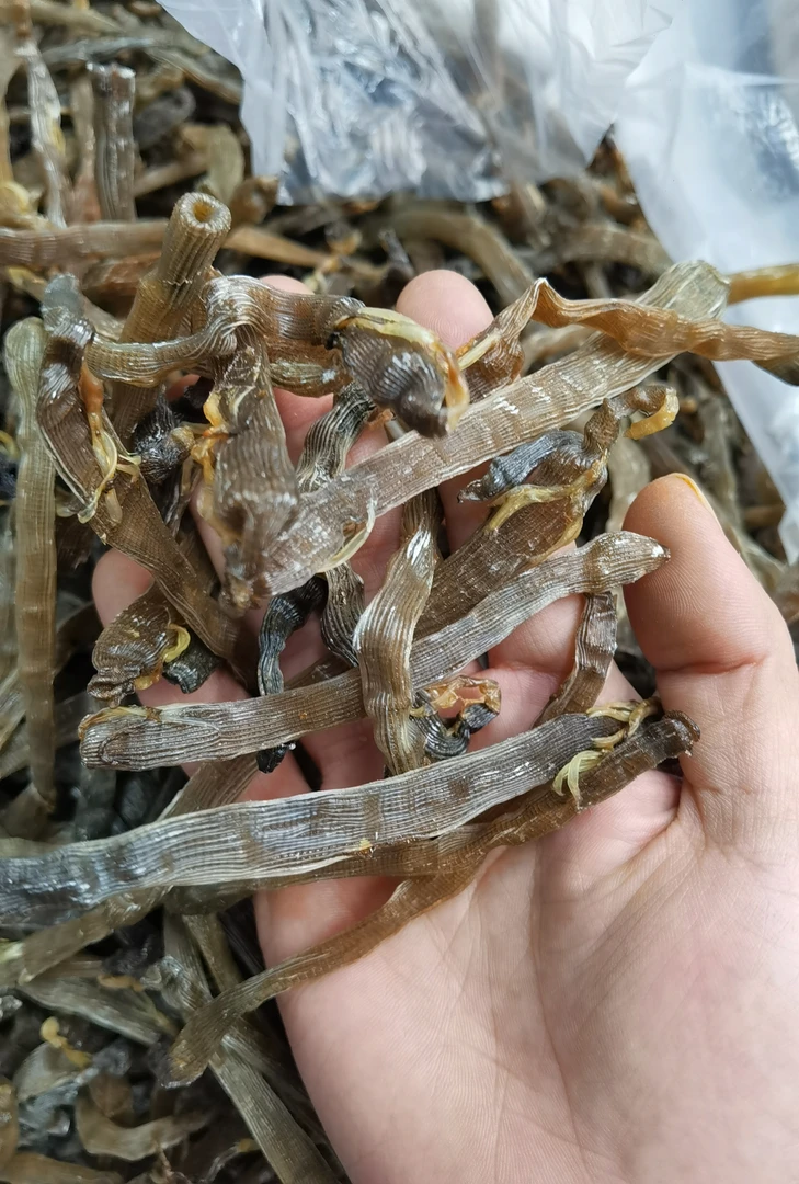 湛江沙虫干 深海黑沙虫干 煲粥 煲汤  盐爆