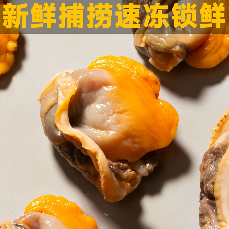 毛蚶赤贝肉小毛蚬子非即食净肉真空新鲜海鲜批发