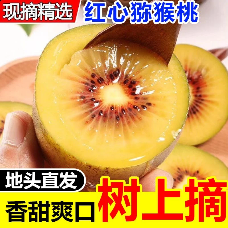 正宗红心奇异果四川蒲江孕妇当季水果新鲜香甜多汁维C奇异果50g起
