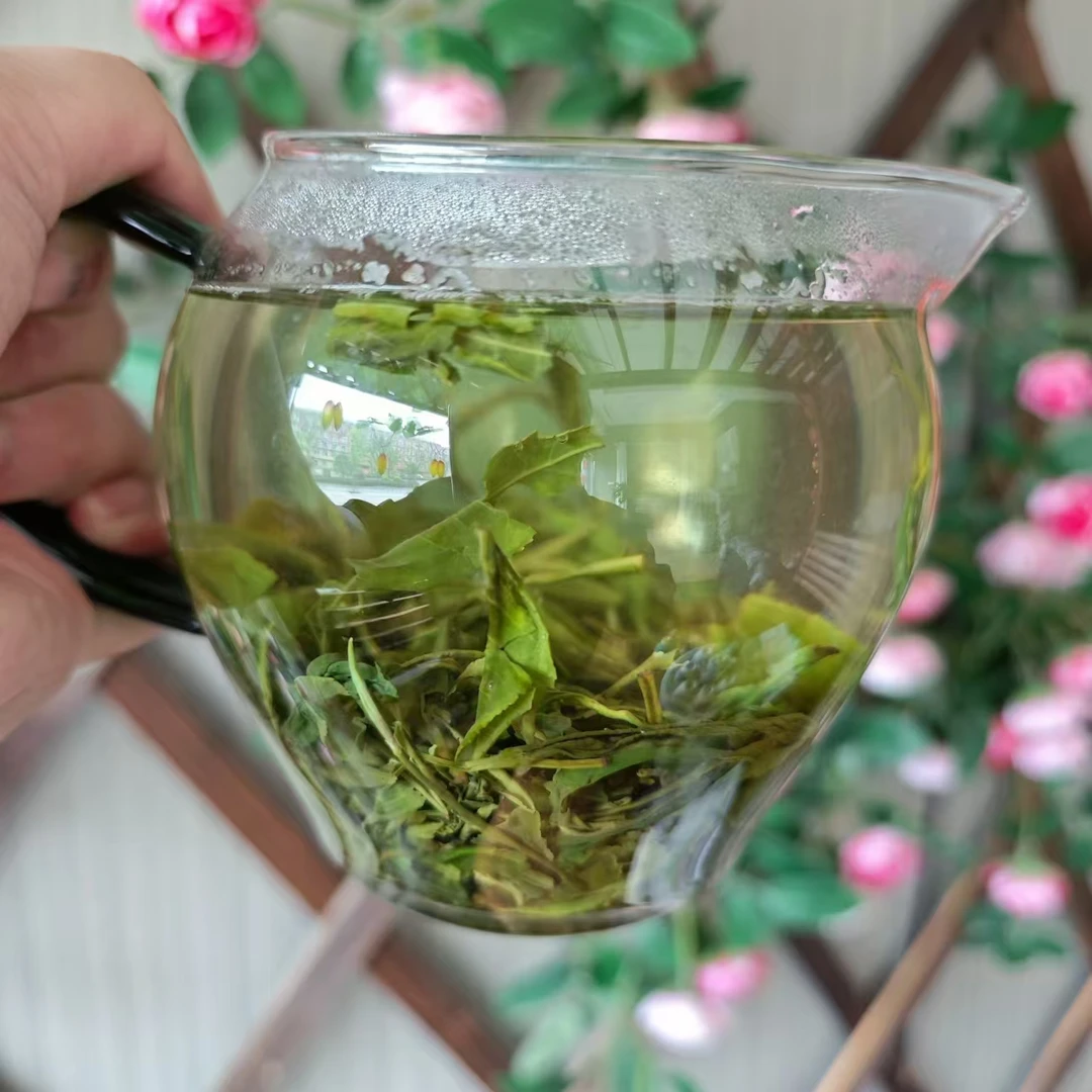 2025白露秋老白大叶茶毛尖绿茶口粮茶味浓袋装