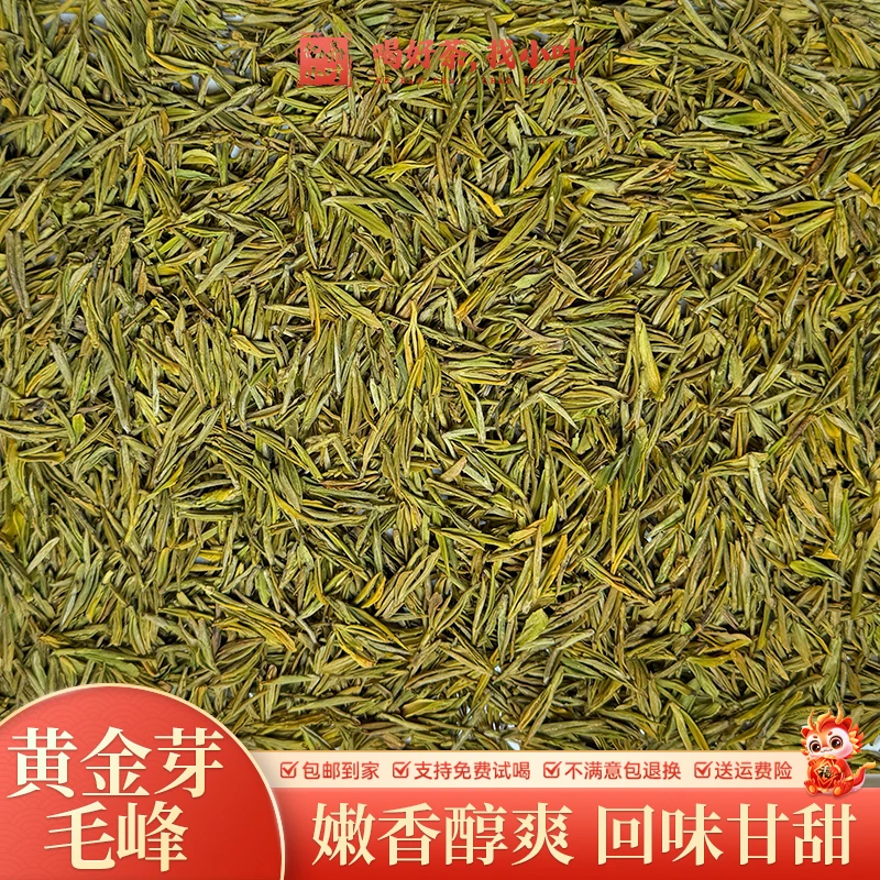 2024明前黄金芽毛峰鲜醇爽口甘甜香气馥郁高长精品高山绿茶1
