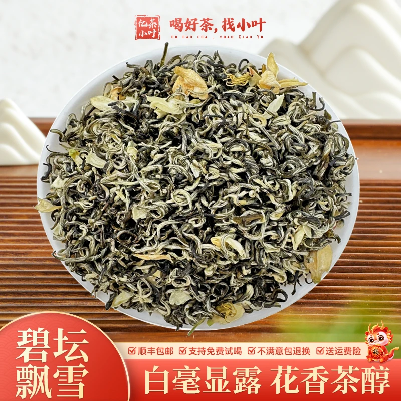 碧坛飘雪 正宗茉莉花香花茶浓香型耐泡茶叶