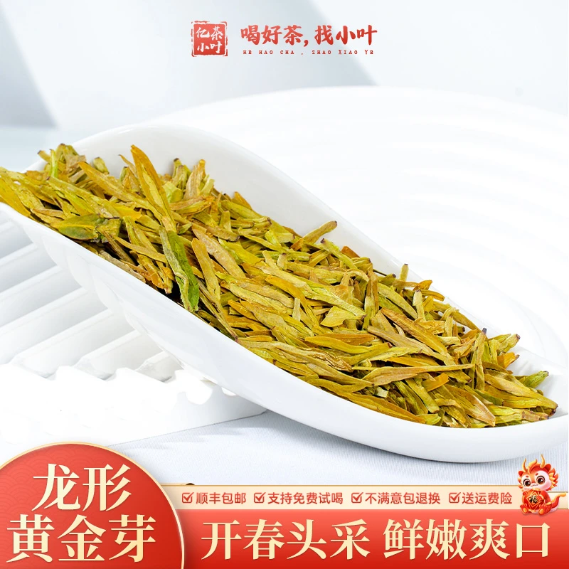 2024年明前龙形黄金芽鲜爽耐泡豆香浓郁精选绿茶