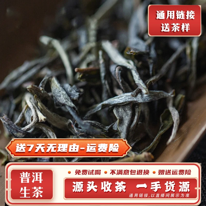 普洱茶1186号100g2024年勐库怕奔大树混采生散茶MK3894