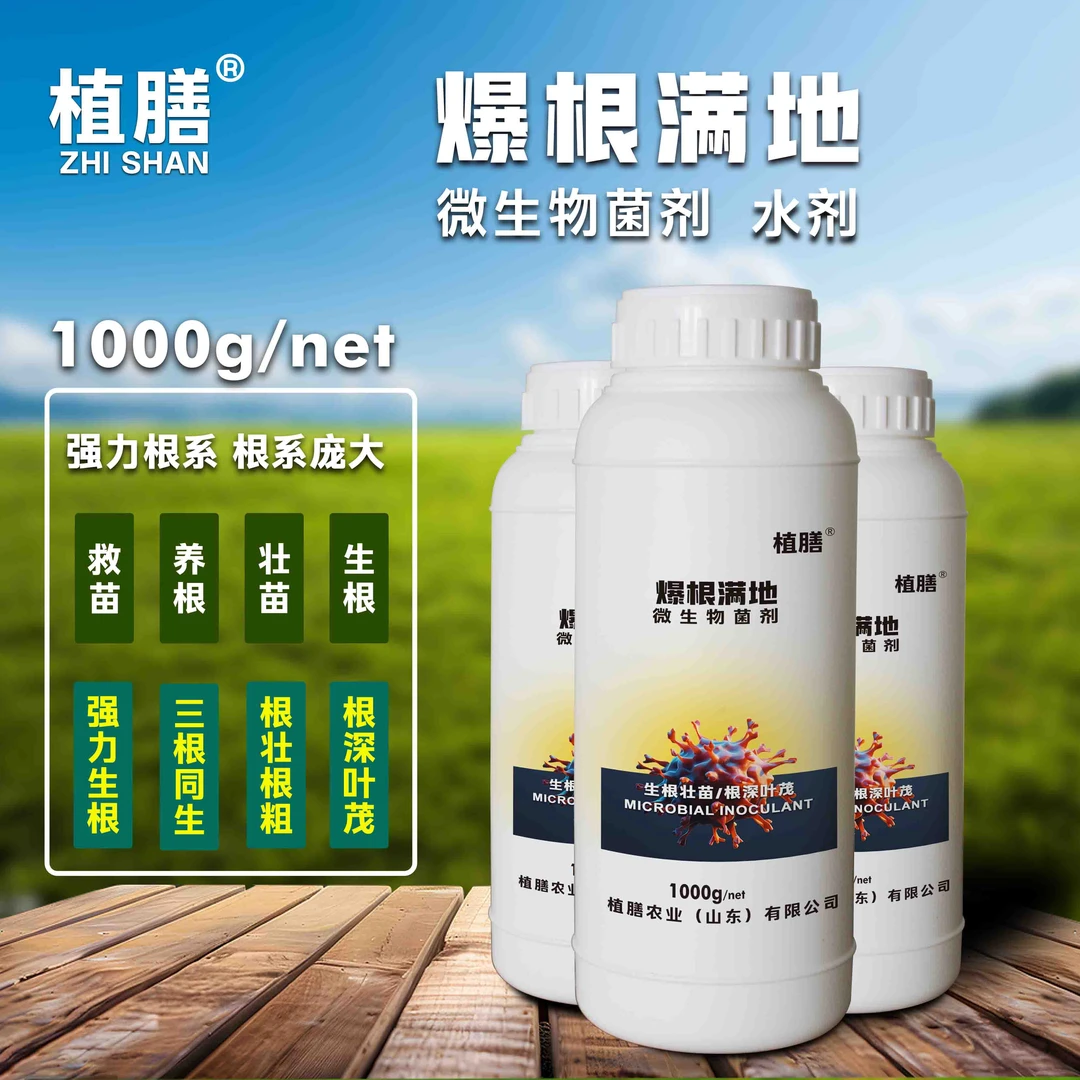 植膳植膳生根肥爆根满地强力生根主根侧根毛细跟三根同生