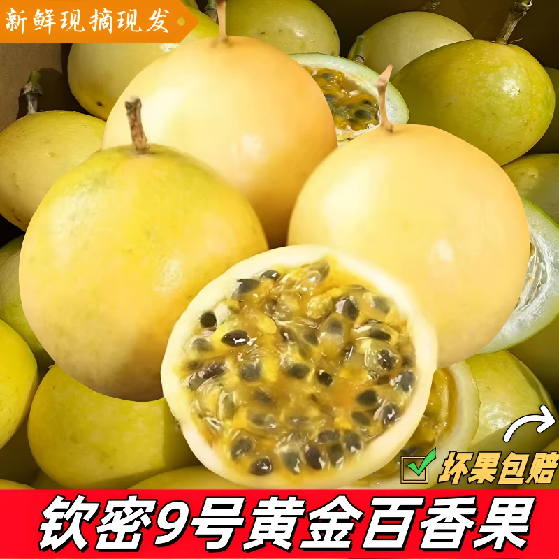 云南钦密9号百香果香甜多汁水果百香果农家种植现摘现发产地直供D