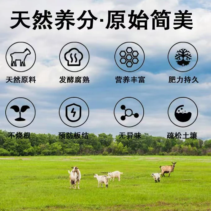 云南山羊纯羊粪发酵促进植物生长天然养分