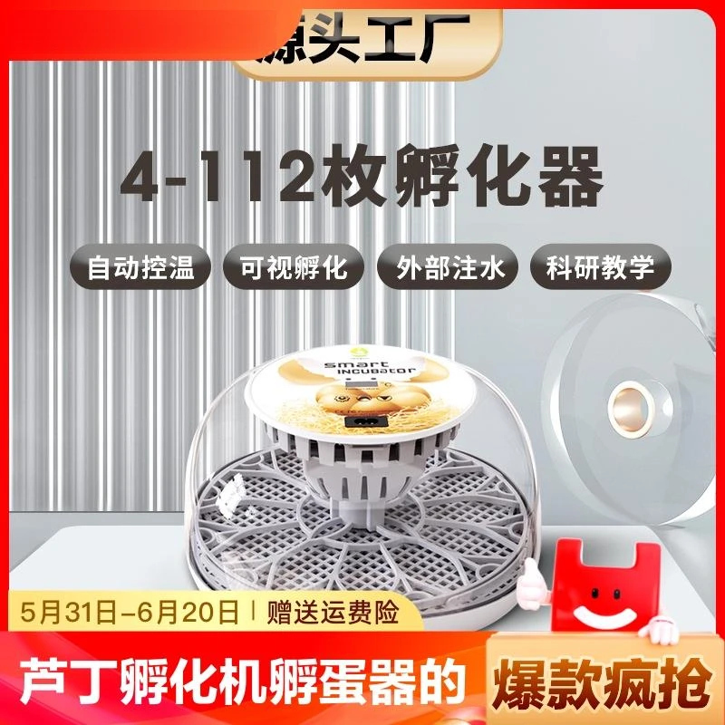 芦丁孵化机孵蛋器小鸡蛋的机器孵化器小型家用型全自动智能孵化箱