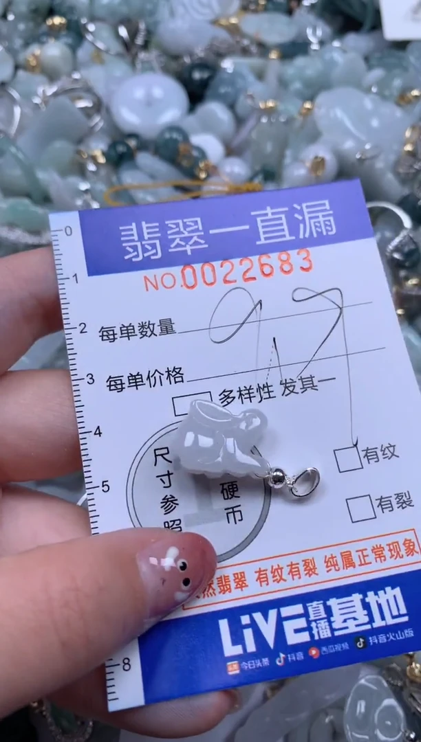【闪购商品】翡翠颈饰未镶嵌22683配绳子