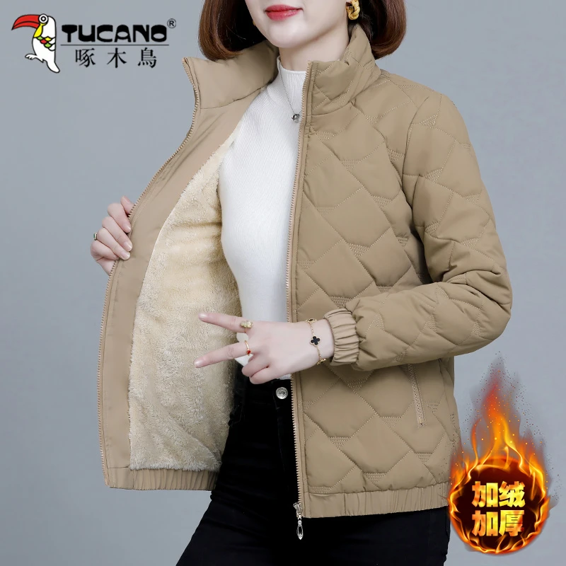 啄木鸟立领棉服外套女士新款防风休闲棉袄2024年冬季防寒保暖棉衣