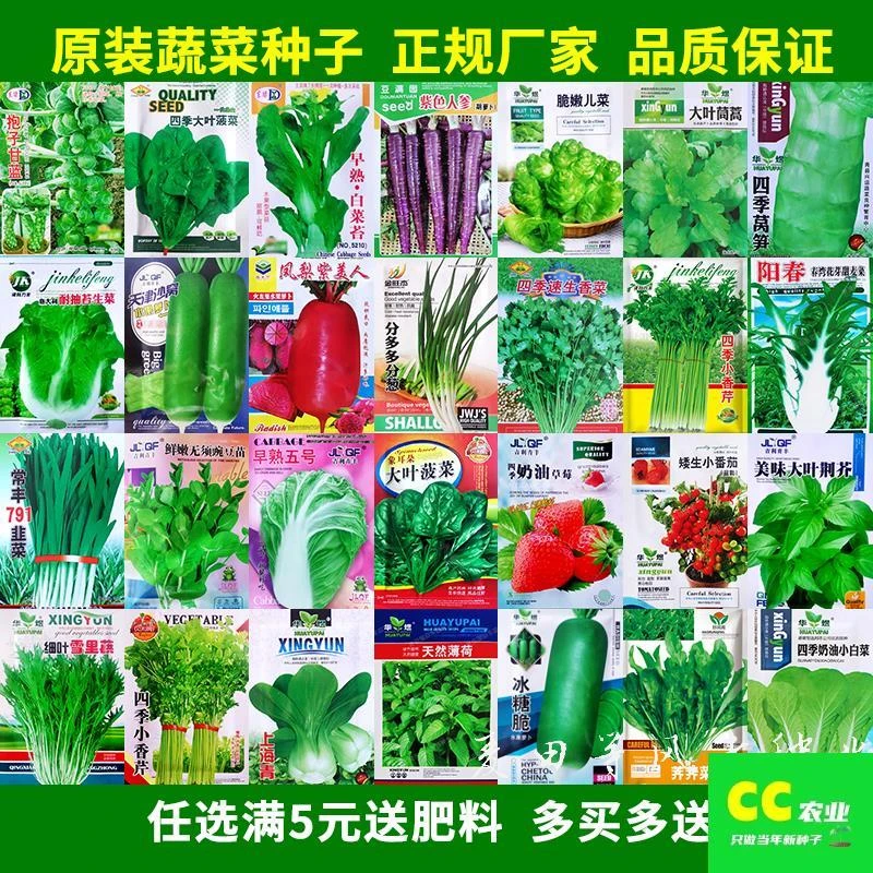 简单易种蔬菜种子四季播盆栽阳台庭院香菜生菜菠菜小葱秋籽孑大全