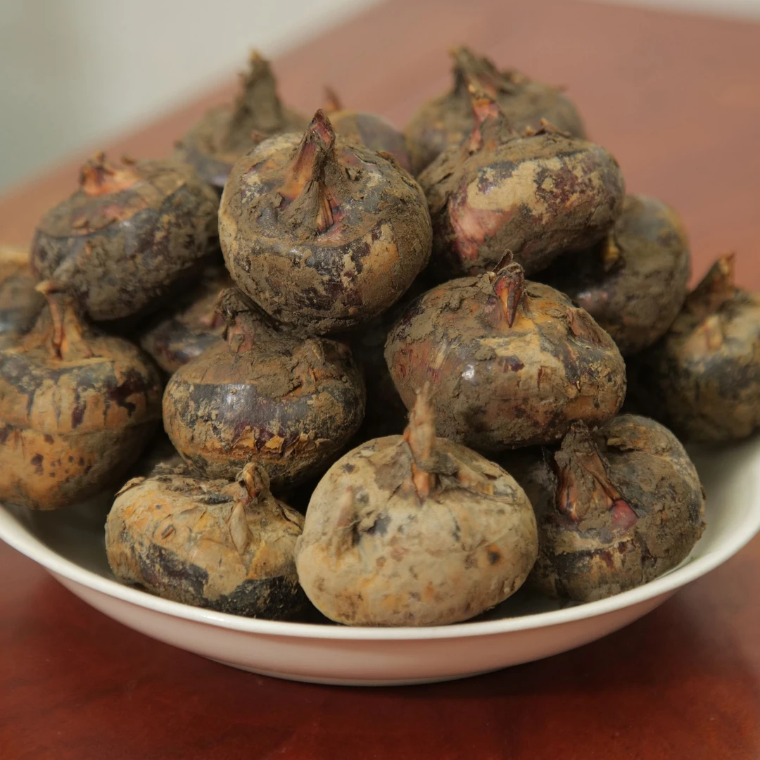 广西带泥水果马蹄  清甜可口2500g起