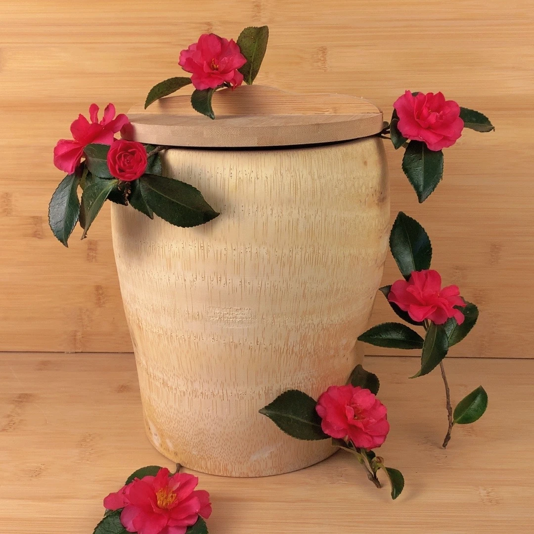 竹根款改价链接(竹根款）