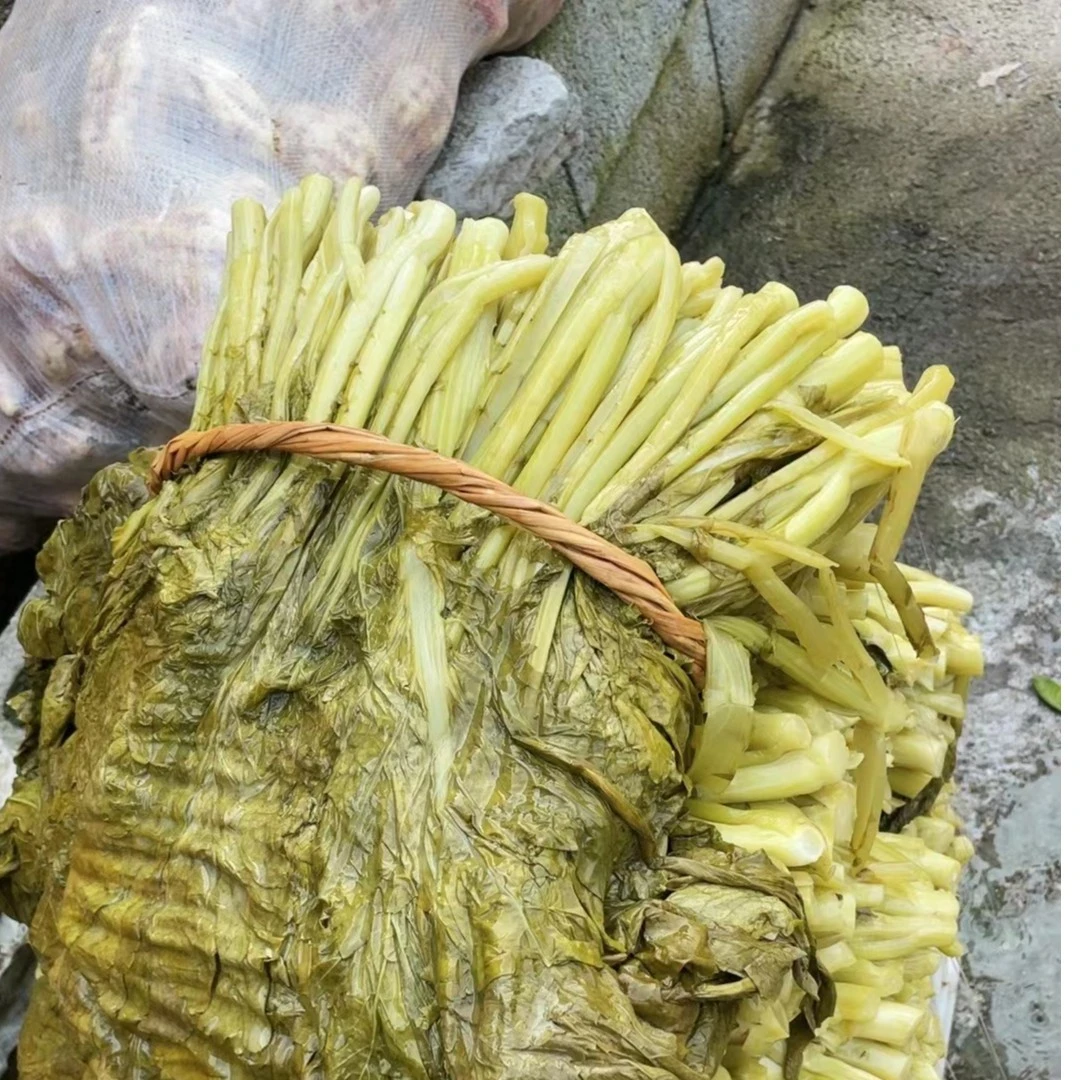 【主播推荐】农家水根菜