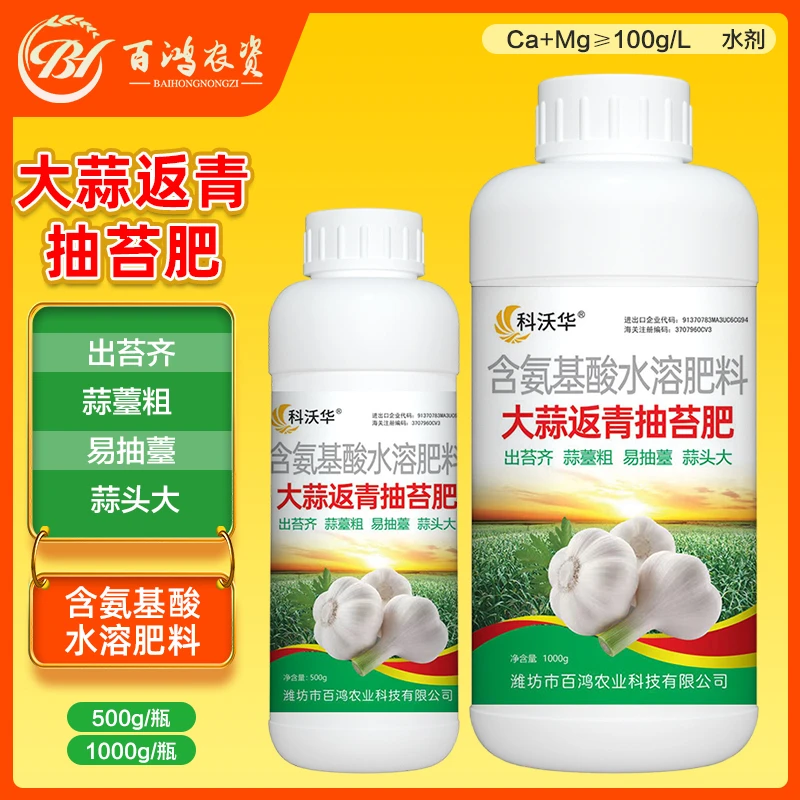 科沃华大蒜返青抽苔肥出苔齐蒜头大蒜苔粗专用含氨基酸水溶肥料