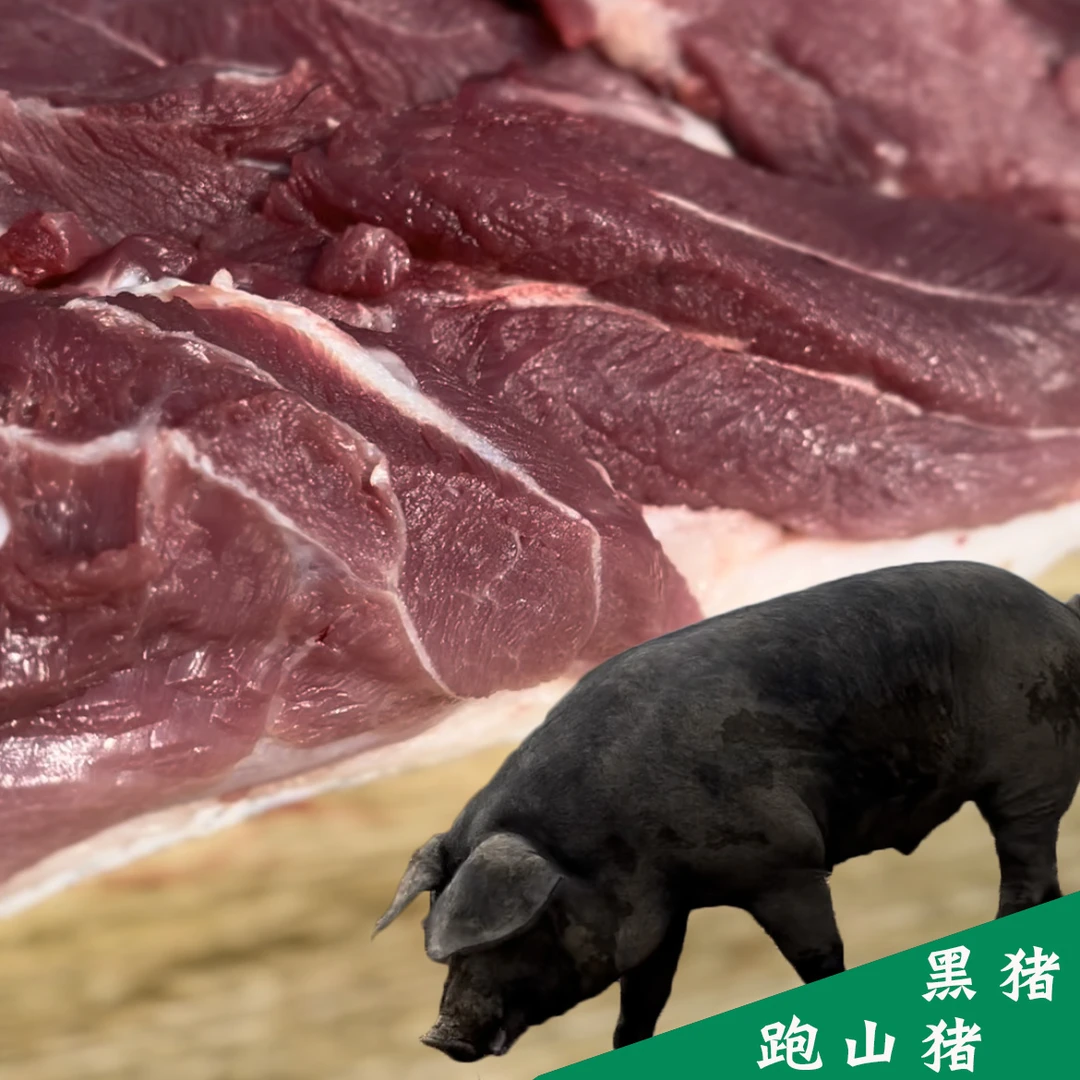 【现场割肉称重】山区放养大黑猪 跑山猪肉