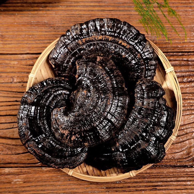 天豪百万补贴专属(买十送一福利黑灵芝)吉林长白山黑灵芝煲汤泡酒