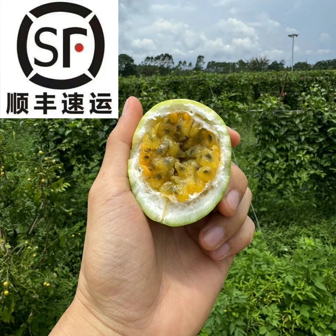 【顺丰包邮】广西灵山钦蜜9号百香果产地直发新鲜采摘香甜蜂蜜味浓