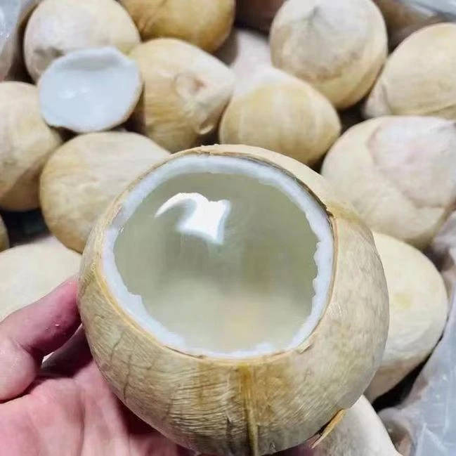 精选泰国丹嫩沙多椰皇椰青/大果6/10颗装【单果400g-720g/颗】