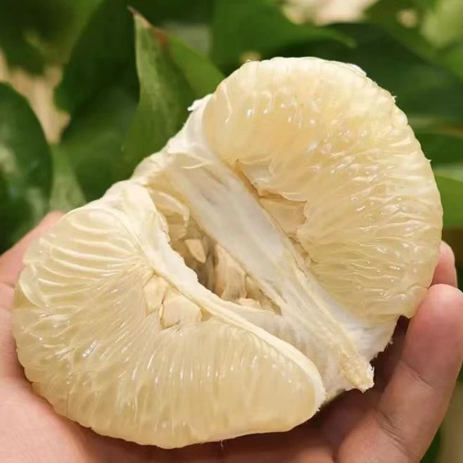 井岗饱满金沙柚三个装毛重约四斤左右，皮薄肉厚、鲜嫩多汁新鲜水果