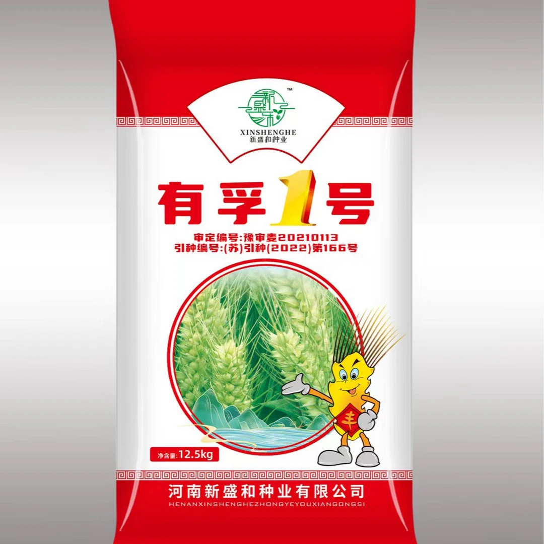 有孚1号小麦高产产量矮杆大穗产量高 老百姓都在种25斤