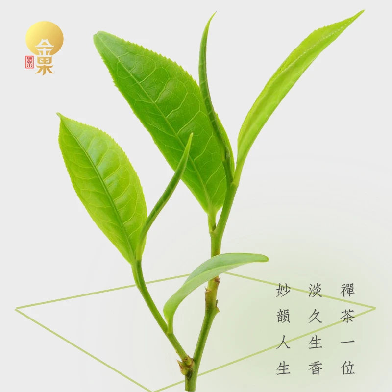 JINGUO/金果2024金果硒茶春季新品手工硒茶毛峰春茶浓香茶正宗