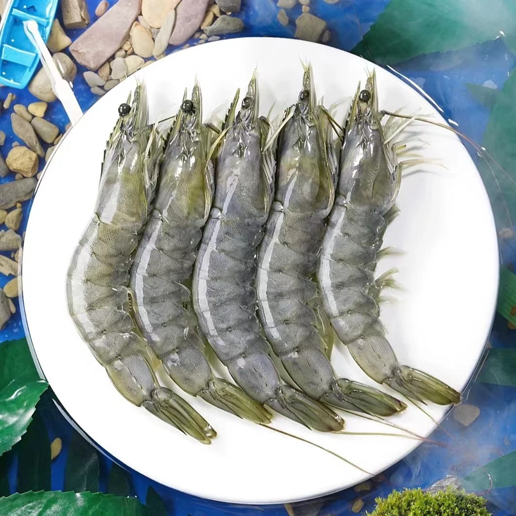 海洋大虾 大号海虾15-18厘米鲜活速冻四斤45-50只带保护冰衣