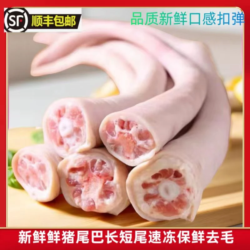 食用猪尾巴鲜长尾巴短尾巴农家散养现杀土猪尾巴新鲜生猪尾巴整根