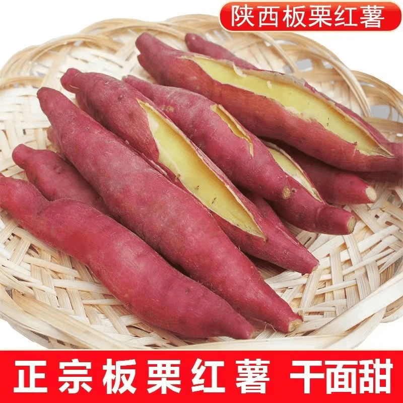 【板栗红薯精选小果5斤】陕西正宗板栗红薯新鲜现挖粉面干甜烤红薯