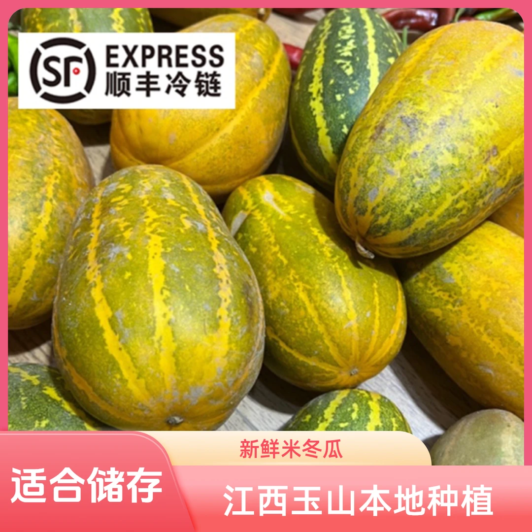 江西玉山本地（米冬瓜）
