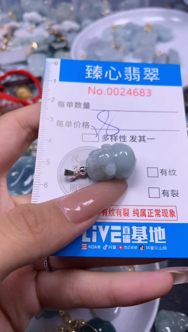 【闪购商品】翡翠颈饰未镶嵌含绳0024683