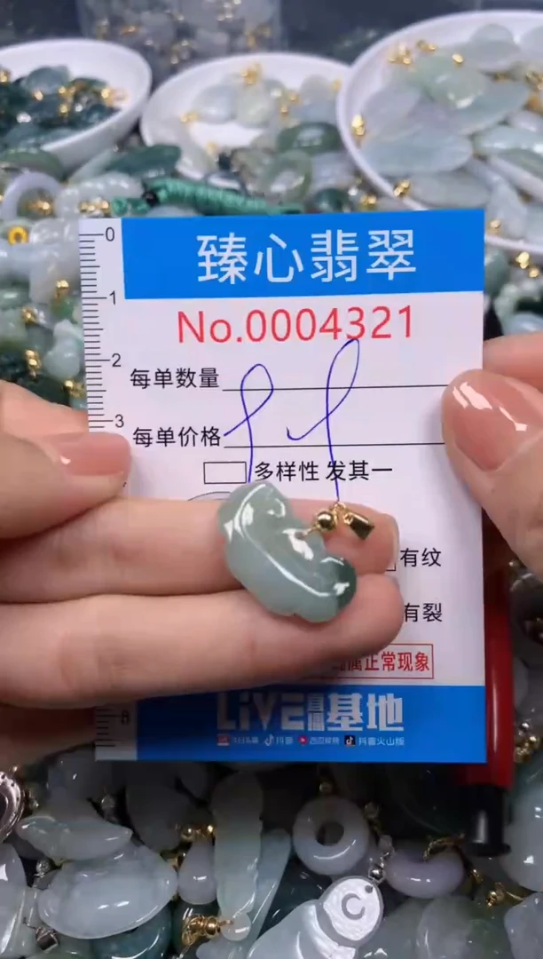 【闪购商品】翡翠颈饰未镶嵌含绳0004321