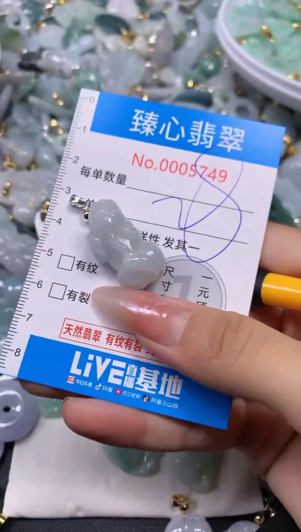 【闪购商品】翡翠颈饰未镶嵌含绳0005749