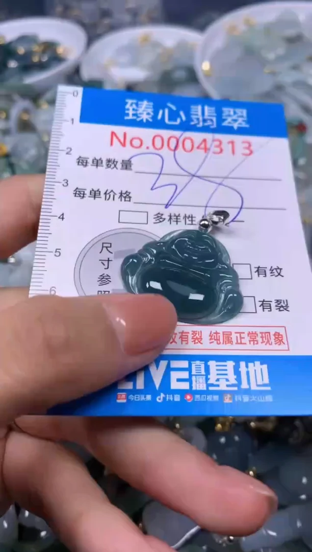 【闪购商品】翡翠颈饰未镶嵌含绳0004313