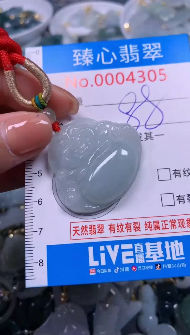 【闪购商品】翡翠颈饰未镶嵌含绳0004305