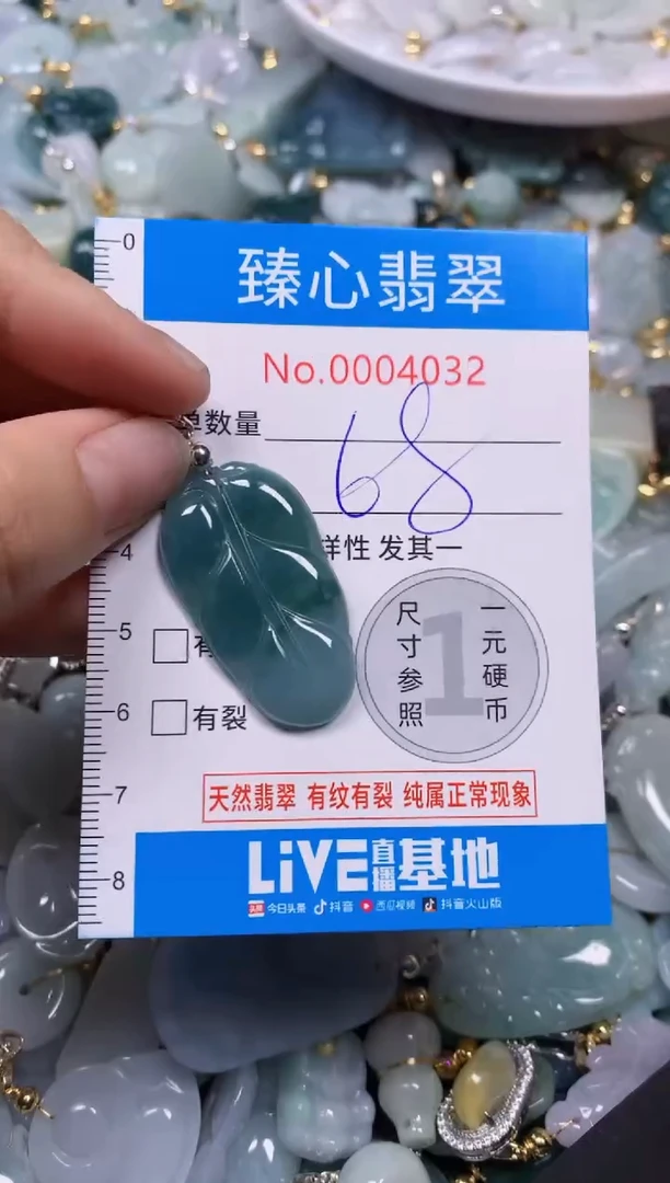 【闪购商品】翡翠颈饰未镶嵌含绳0004032