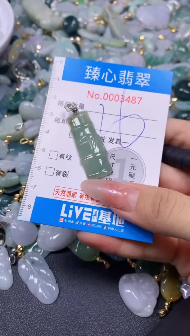 【闪购商品】翡翠颈饰未镶嵌含绳0003487