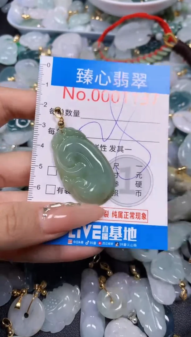 【闪购商品】翡翠颈饰未镶嵌含绳0001137