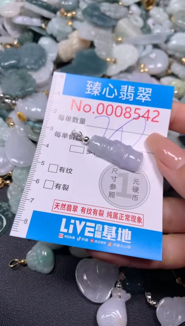 【闪购商品】翡翠颈饰未镶嵌含绳0008542