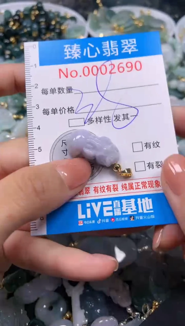 【闪购商品】翡翠颈饰未镶嵌含绳0002689
