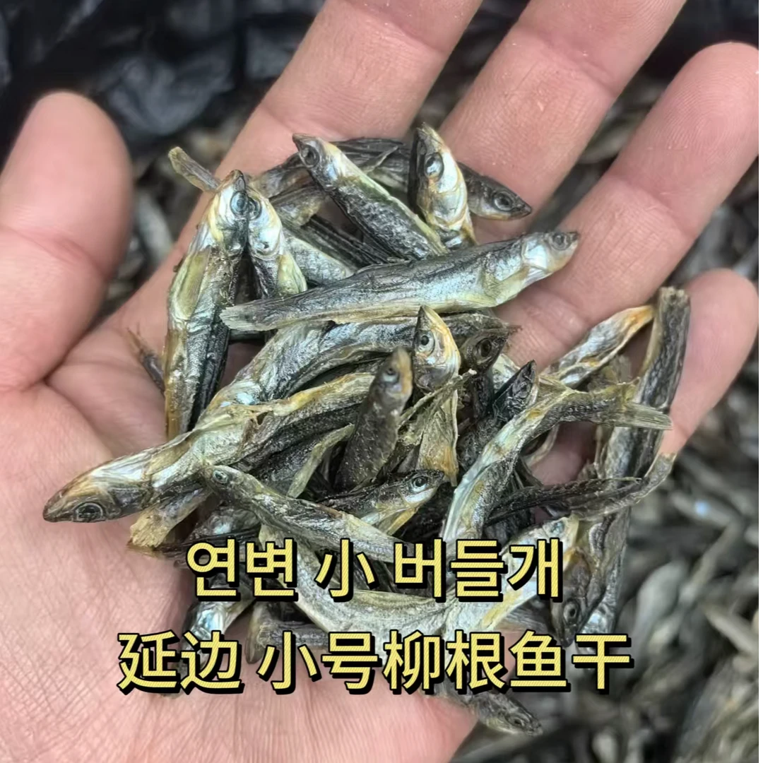 【延边特产】小号柳根鱼干鲜香可口菜下酒菜500克/袋