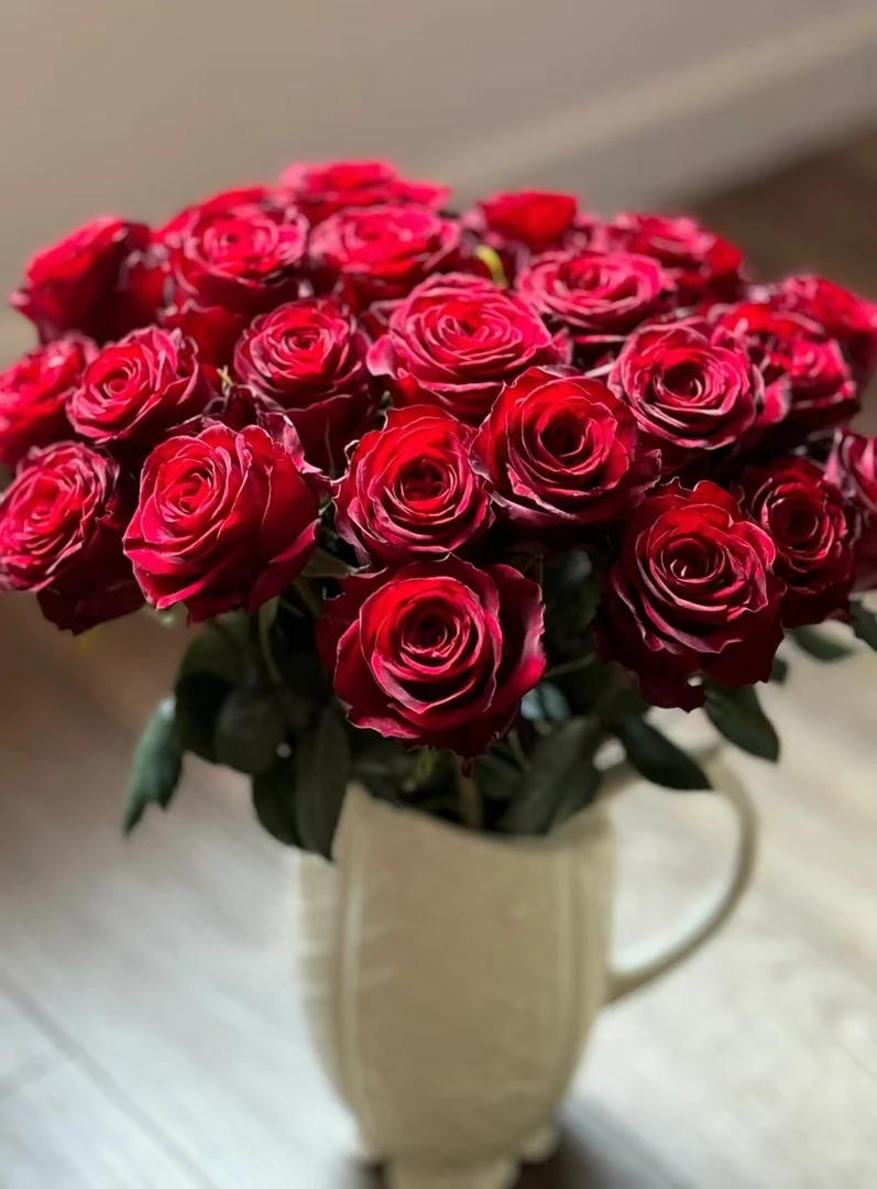 【基地红玫瑰】红玫瑰 | 云南基地直发