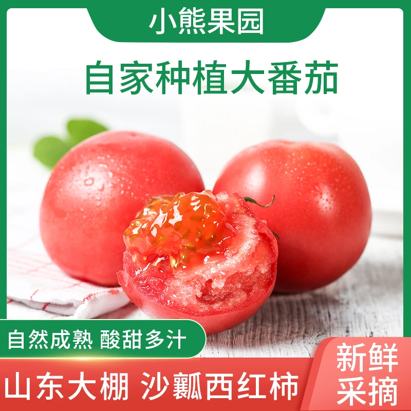 山东大棚西红柿【自家种植】 酸甜多汁孕妇水果 山东寿光 现摘现发